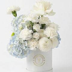 Collection image for: Box Arrangements