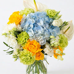 Collection image for: Congratulations