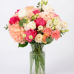 Collection image for: Flora and Flames Exclusive