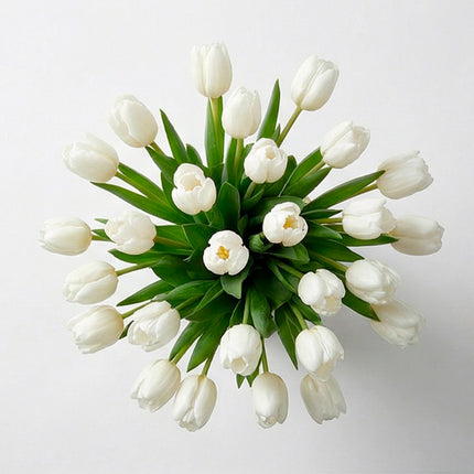 Pure White Tulip image 1
