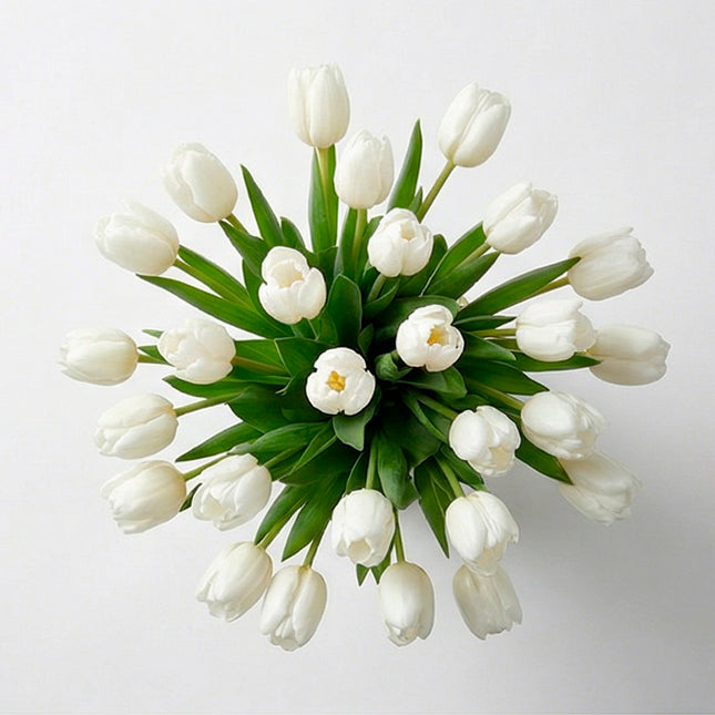 Pure White Tulip image 1