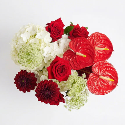 Scarlet Symphony image 1