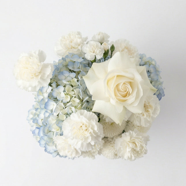 Gentle Whisper image 1