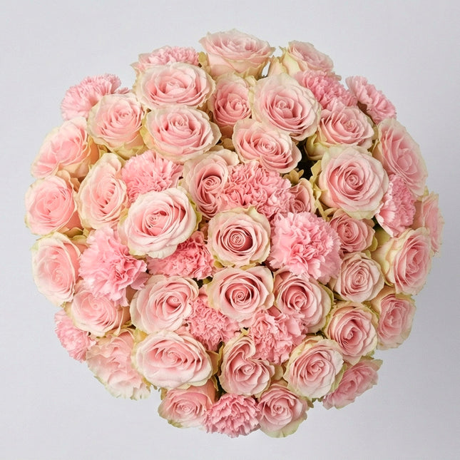 Cotton Candy Luxe image 0