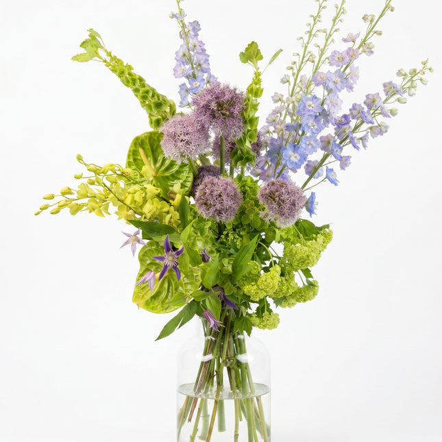 Botanical Symphony image 0
