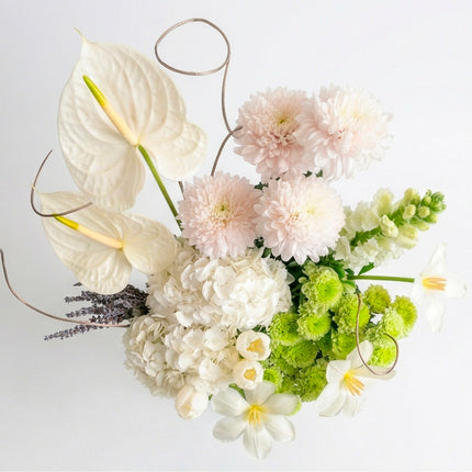 Ivory Époque image 1