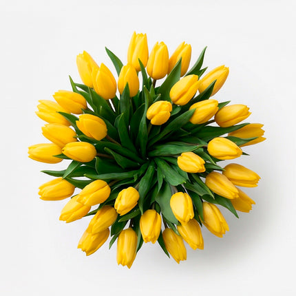 Golden Yellow Tulip image 6