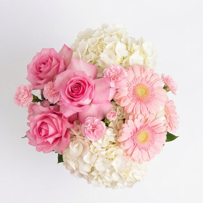Blush Harmony image 1