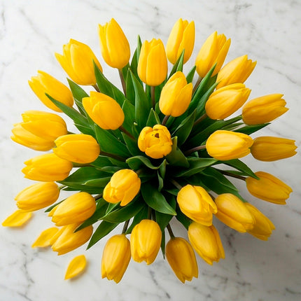 Golden Yellow Tulip image 4