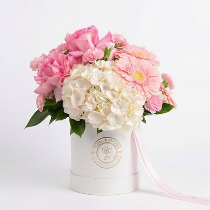 Blush Harmony image 0