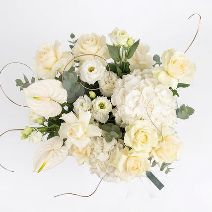 Ivory Reverie image 3