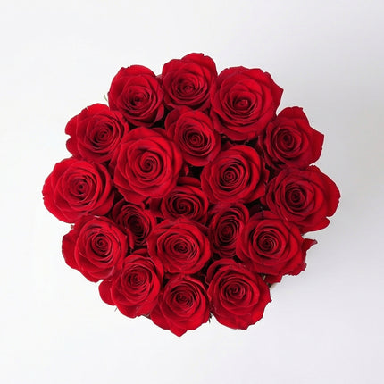 Infinite Roses image 0