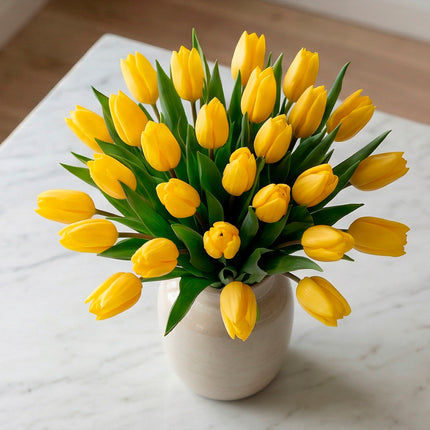 Golden Yellow Tulip image 7