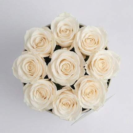 Ivory Elegance image 1