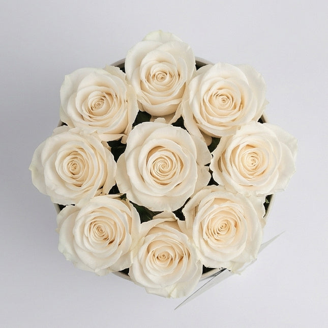 Ivory Elegance image 1